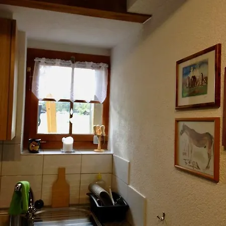 Vila Eichhof Brienzwiler Berner Oberland Exteriér fotografie