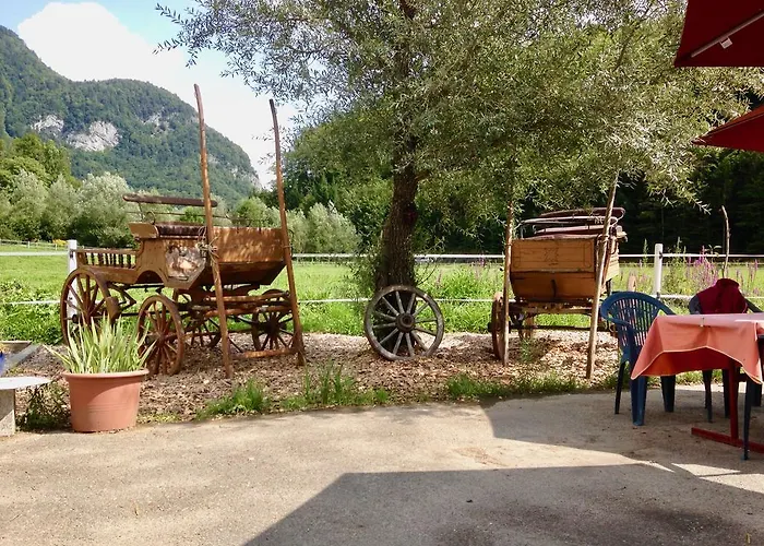 Eichhof Brienzwiler Berner Oberland