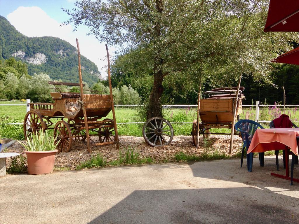 Bauernhof Eichhof *