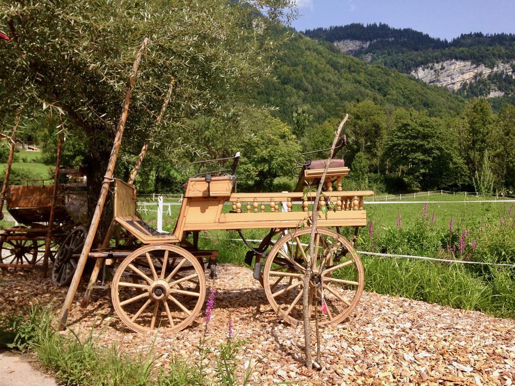Bauernhof Eichhof Brienzwiler