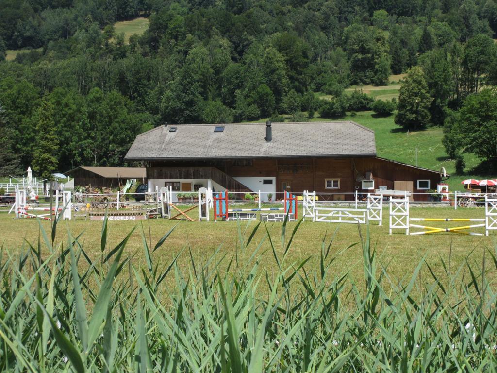 Eichhof Berner Oberland Farma Brienzwiler
