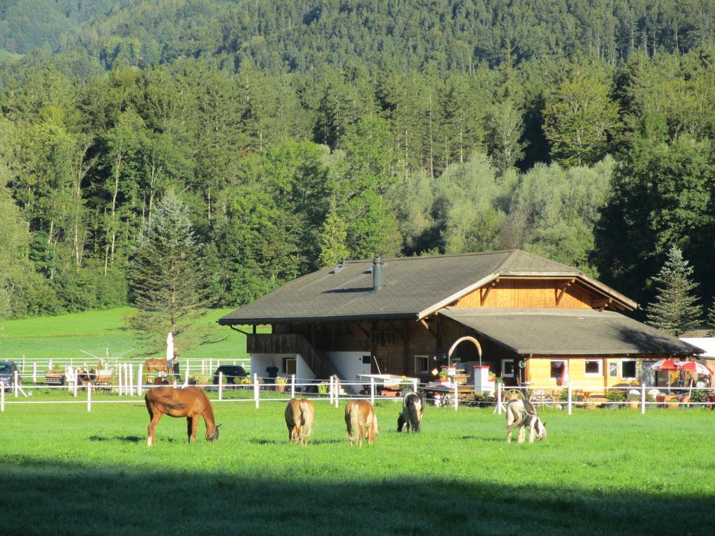 Eichhof Berner Oberland